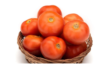 Farm Tomato